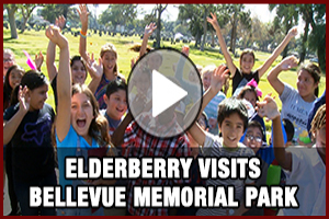 Elderberry Visits Bellevue Video 